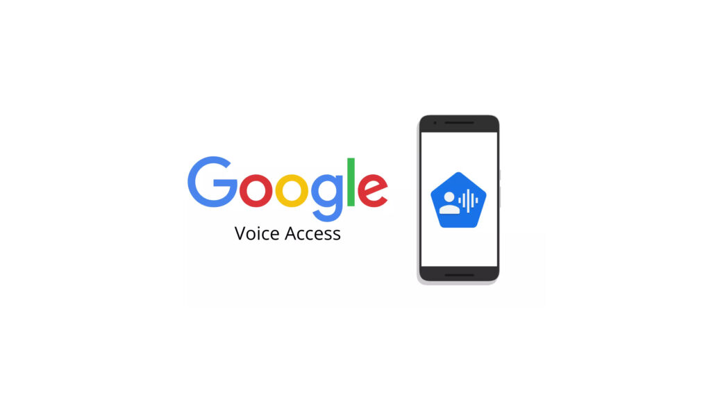 google voice access